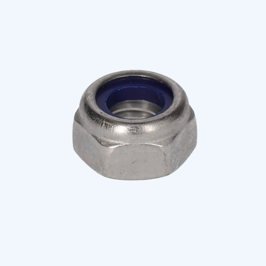 100 stuks borgmoer M10 RVS A2
