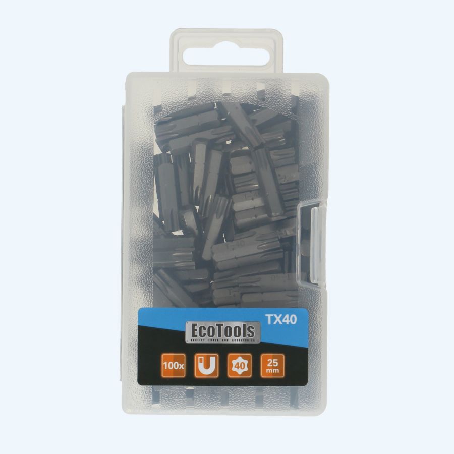 100 stuks Torx 40 bits