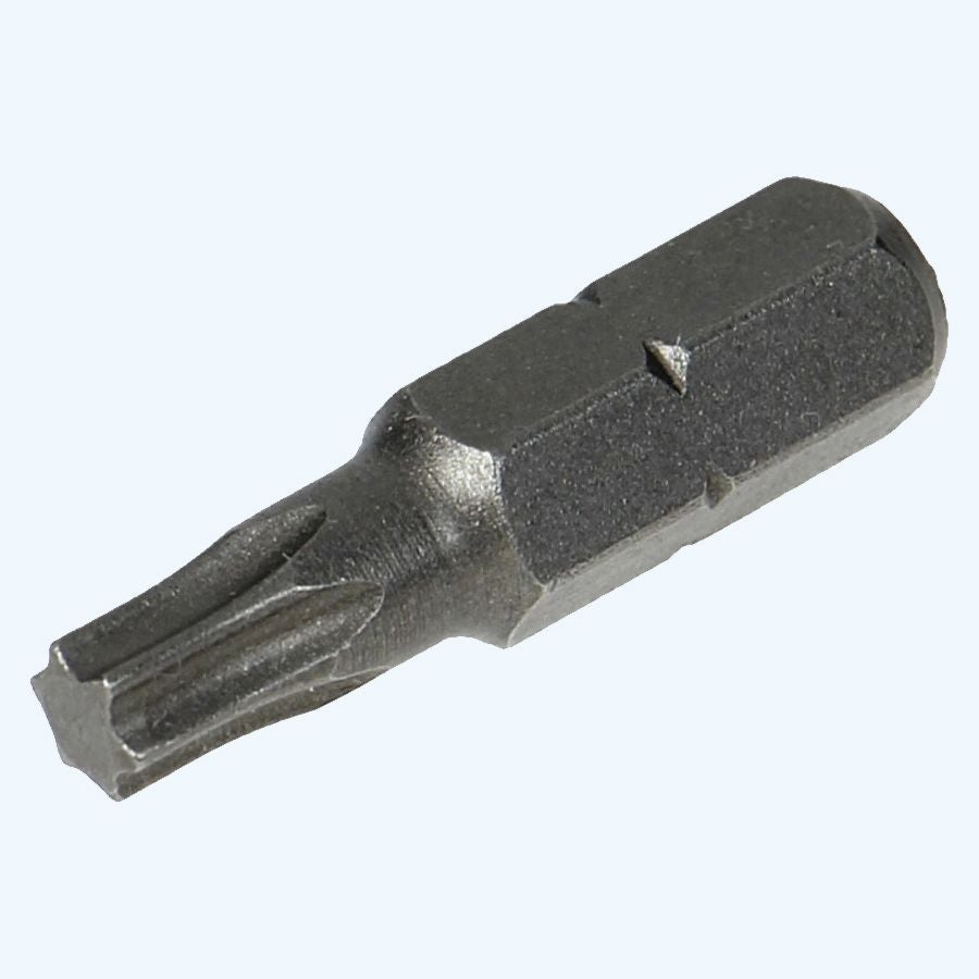 100 stuks Torx 40 bits