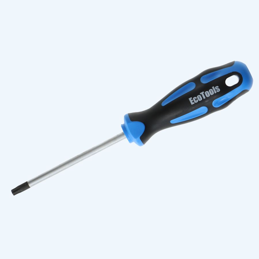 Schroevendraaier Torx 30 x 100 mm