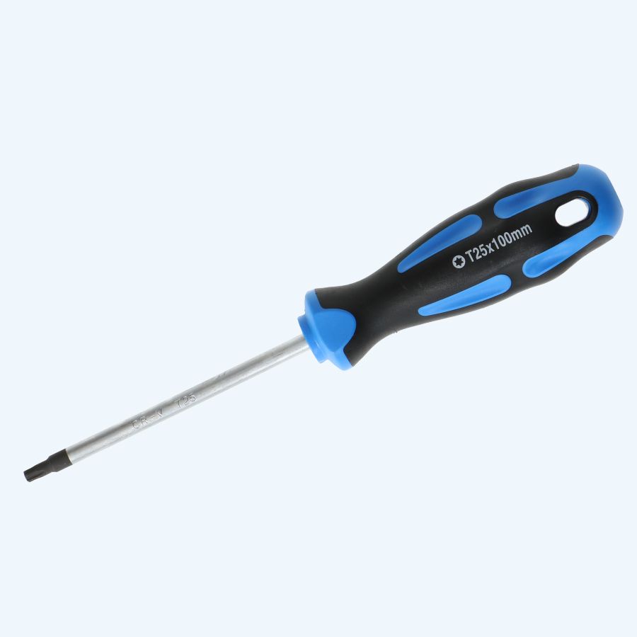 Schroevendraaier Torx 25 x 100 mm