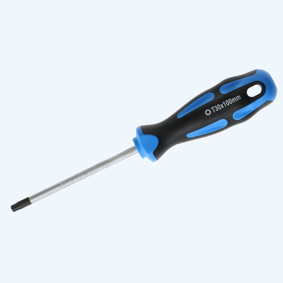 Schroevendraaier Torx 30 x 100 mm