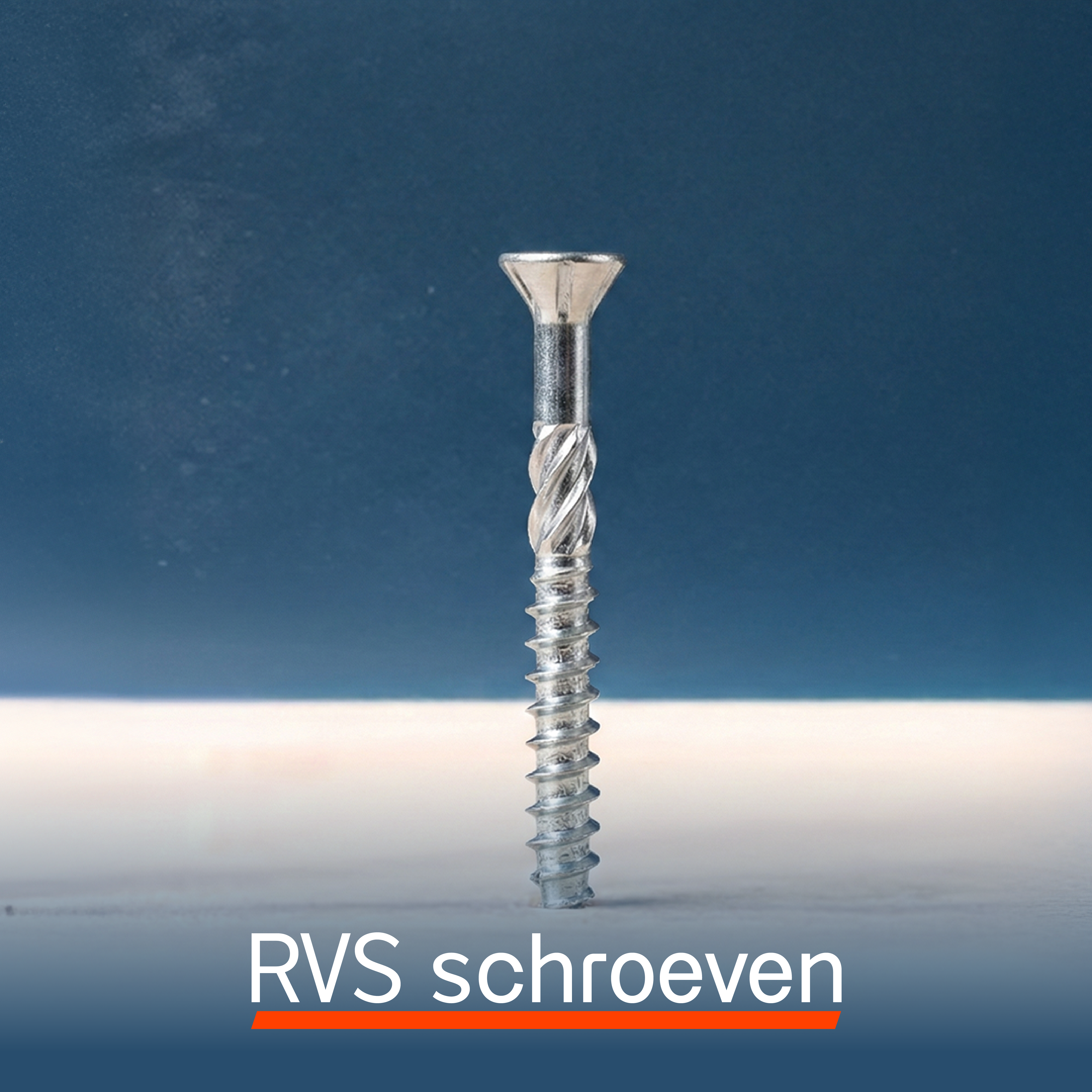 RVS Schroef